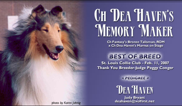 Dea Haven -- CH Dea Haven's Memory Maker