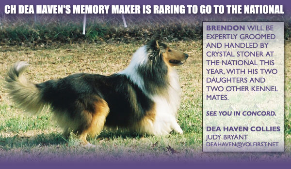Dea Haven -- CH Dea Haven's Memory Maker
