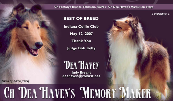 Dea Haven -- CH Dea Haven's Memory Maker