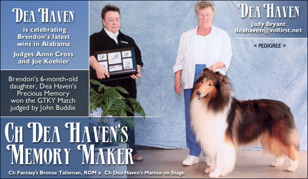 Dea Haven -- CH Dea Haven's Memory Maker