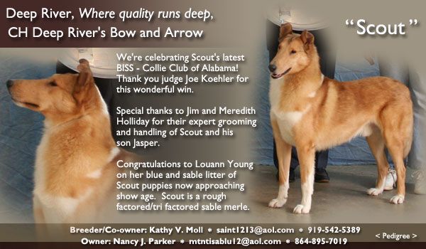 Deep River -- CH Deep River's Bow And Arrow