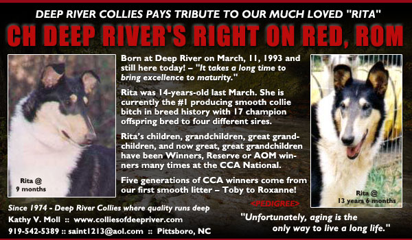 Deep River -- CH Deep River's Right On Red, ROM