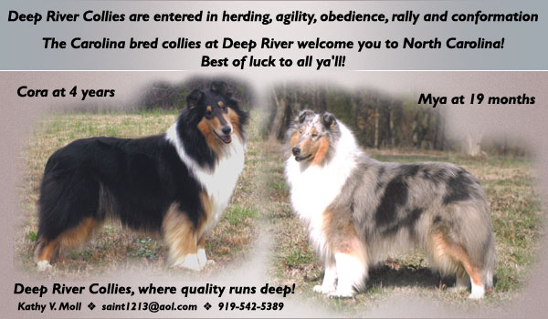 Deep River Collies