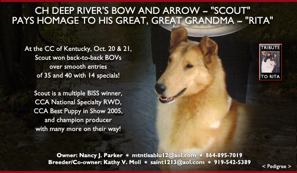 CH Deep River's Bow And Arrow