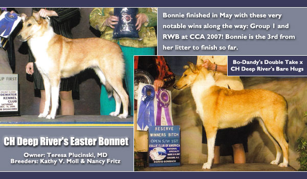 Ch Deep River's Easter Bonnet