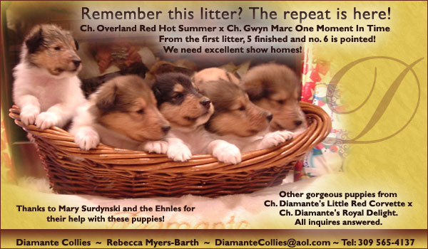 Collie Club of New England -- 2007 Fall Seminar and Match