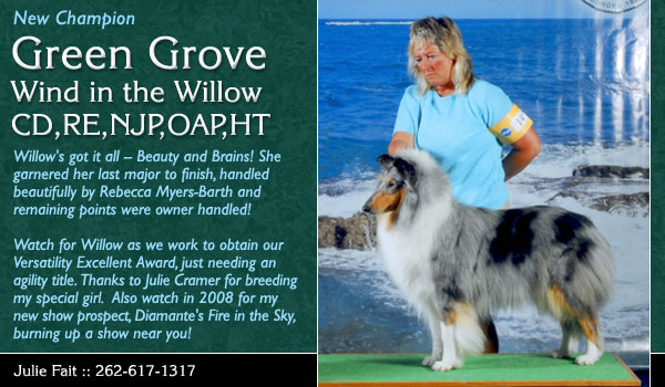 CH Green Grove's Wind in The Willow, CD, RE, NJP, OAP, HT