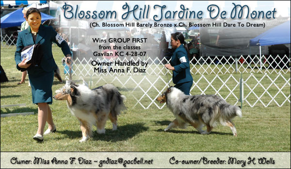 The Diaz Family -- Blossom Hill Jardine De Monet