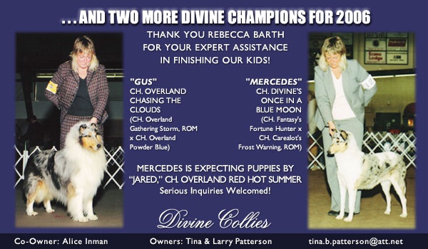 Divine Collies -- CH Overland Chasing The Clouds, CH Divine's Once In A Blue Moon