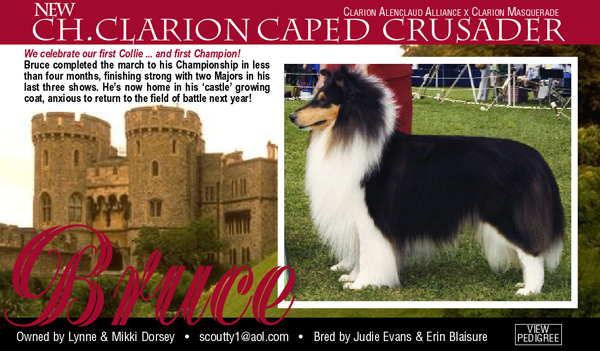 Lynne and Mikki Dorsey -- CH Clarion Caped Crusader