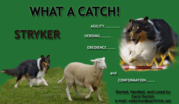 Carol Dunton -- Rosehaevens What A Catch CD RE PT AX AXJ NF STDs