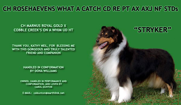 Carol Dunton -- Rosehaevens What A Catch CD RE PT AX AXJ NF STDs