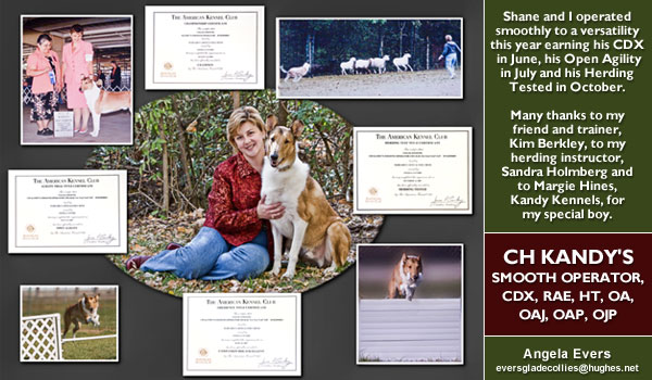 Angela Evers and CH Kandy's Smooth Operator, CDX, RAE, HT, OA, OAJ, OAP, OJP