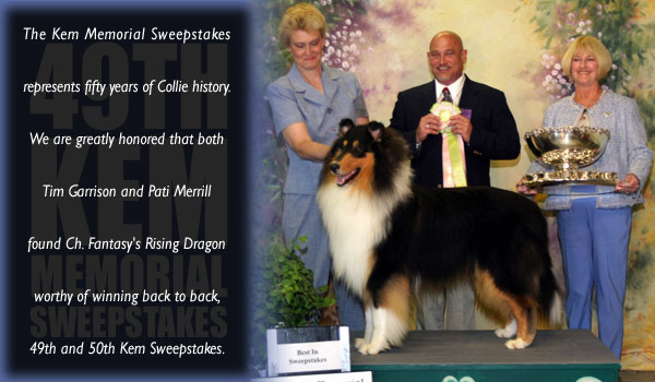 Fantasy Collies and Bellvue Collies -- CH Fantasy's Rising Dragon