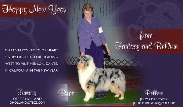 Fantasy and Bellvue -- CH Fantasy's Key To My Heart