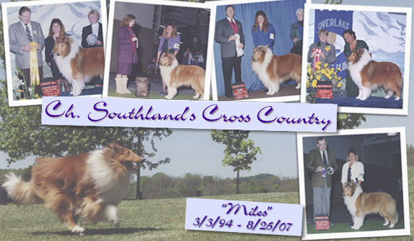 Gentry -- CH Southland's Cross Country