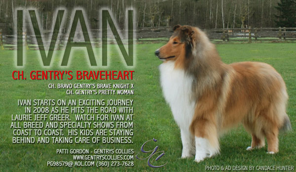 Gentry -- CH Gentry's Braveheart