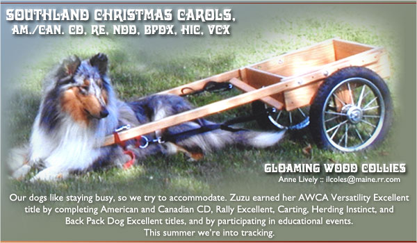 Gloaming Wood -- Southland's Christmas Carols