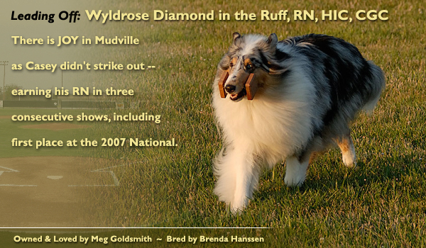 Meg Goldsmith -- Wyldrose Diamond in the Ruff, RN, HIC, CGC