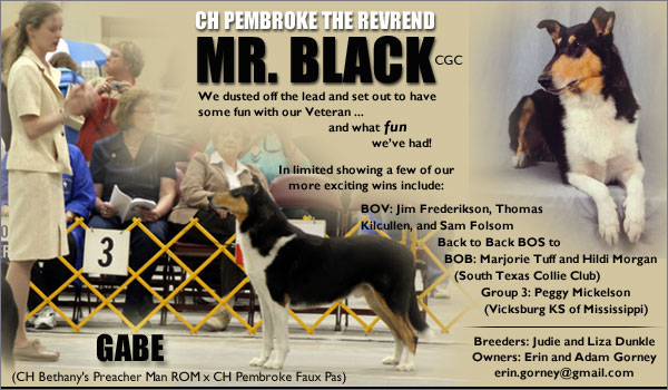 Aidan Collies  --  CH Pembroke The Revrend Mr. Black