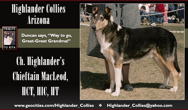 Highlander Collies (Arizona) -- CH Highlander's Chieftan MacLeod, HCT, HIC, HT