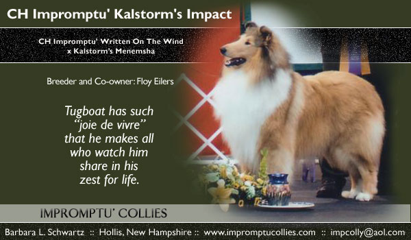 Impromptu' -- CH Impromptu' Kalstorm's Impact