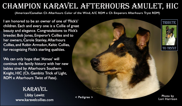 Karavel -- CH Karavel Afterhours Amulet, HIC