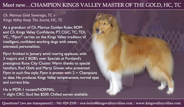 Kings Valley -- CH Kings Valley Master Of The Gold, HC, TC