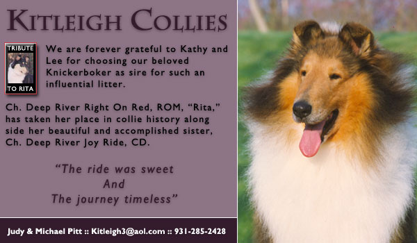 Kitleigh -- CH Kitleigh Knickerbocker