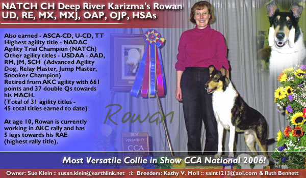 NATCH CH Deep River Karizma's Rowan UD, RE, MX, MXJ, OAP, OJP, HSAs