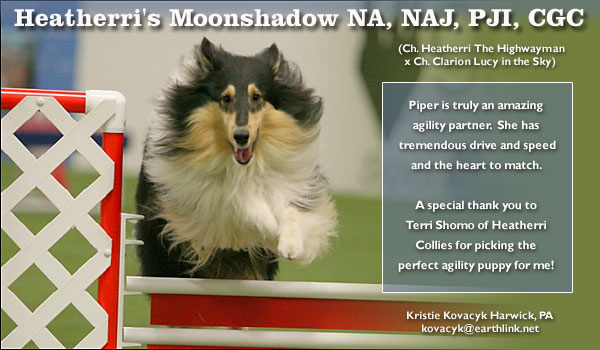 Kristie Kovacyk -- Heatherri's Moonshadow NA, NAJ, PJI, CGC