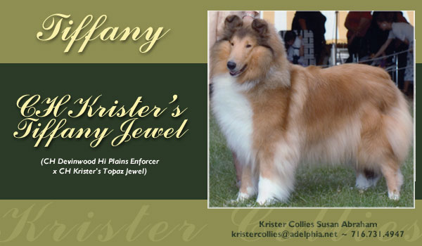 Krister Collies -- CH Krister's Tiffany Jewel