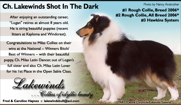 Lakewinds -- CH Lakewinds Shot In The Dark