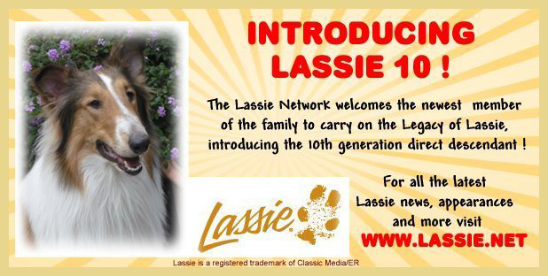 www.lassie.net