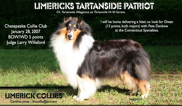 Limerick -- Limericks Tartanside Patriot