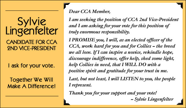Sylvie Lingenfelter -- Candidate for CCA 2nd Vice-President