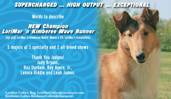 LoriMar/Kimberee -- CH LoriMar 'n Kimberee Wave Runner