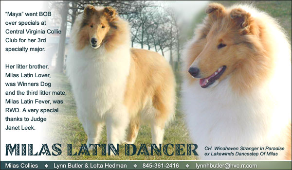 Milas -- Milas Latin Dancer