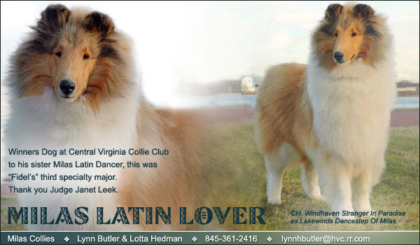 Milas -- Milas Latin Lover