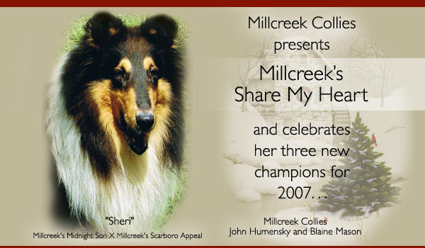 Millcreek -- Millcreek's Share My Heart
