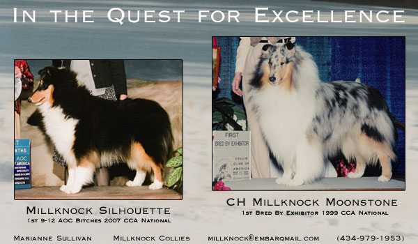 Millknock -- Millknock Silhouette and CH Millknock Moonstone