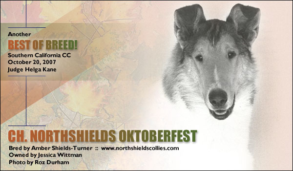 Northshields -- CH Northshields Oktoberfest