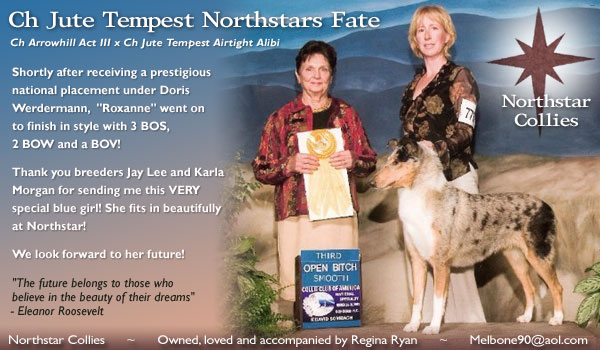 NorthStar -- CH Jute Tempest Northstars Fate