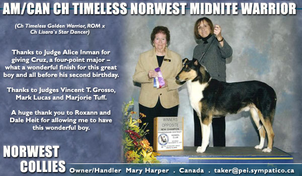 Norwest -- AM/CAN CH Timeless Norwest Midnite Warrior