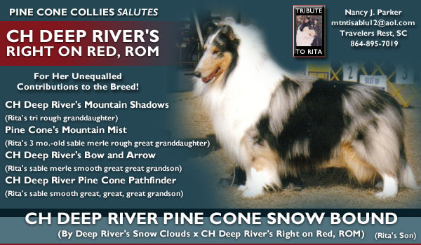 Pine Cone -- CH Deep River Pine Cone Snow Bound
