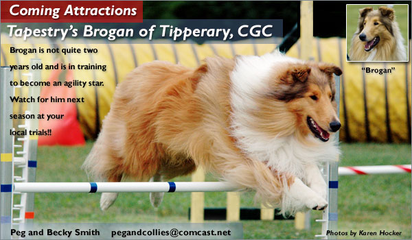 Peg and Becky Smith-- Tapestry's Brogan Of Tipperary, CGC