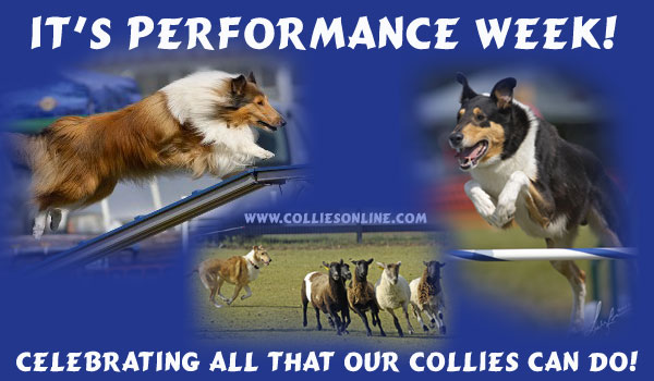 Performance Week on www.colliesonline.com
