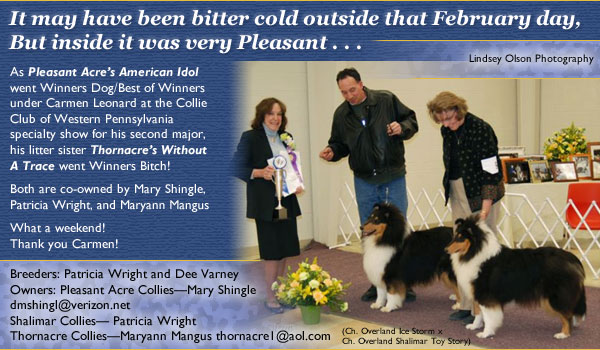 Pleasant Acre's American Idol and Thornacre's Without A Trace