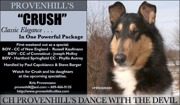 Provenhill -- CH Provenhill's Dance With The Devil