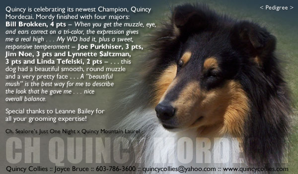 Quincy -- CH Quincy Mordecai